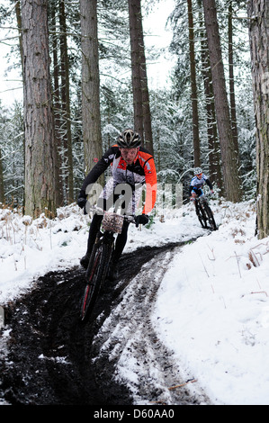 Sherwood Kiefern XC-MTB Runde 1 2013. Stockfoto