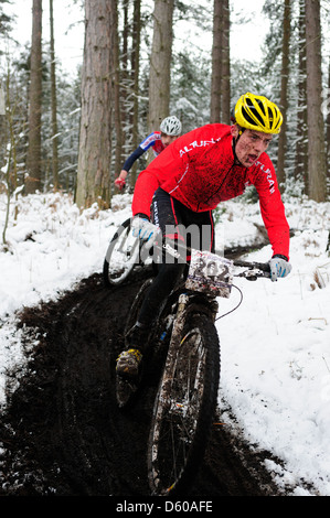 Sherwood Kiefern XC-MTB Runde 1 2013. Stockfoto