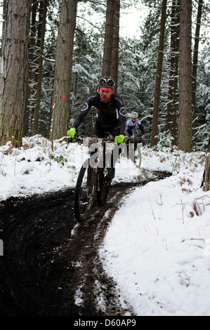 Sherwood Kiefern XC-MTB Runde 1 2013. Stockfoto