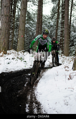 Sherwood Kiefern XC-MTB Runde 1 2013. Stockfoto