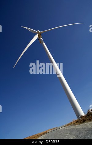 Einzelne Windenergieanlage auf Windpark aus tiefem Winkel mit blauem Himmel Stockfoto