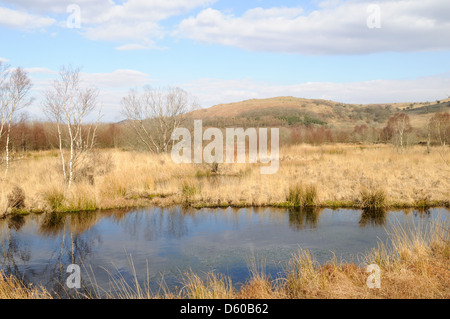 CORS Caron Nature Reserve Tregaron Wales Cymru UK GB Stockfoto