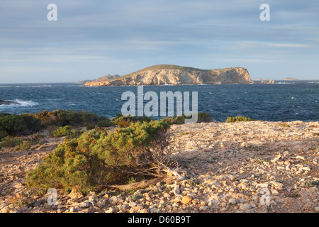 Illa des Bosc Islot in Punta de sa Torre Kap, Ibiza, Illes Balears, Spanien Stockfoto