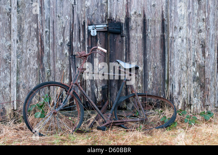 Rostigen Fahrrad durch Schuppen Türen Stockfoto