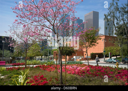 Bunte Gärten in der Innenstadt von Los Angeles Stockfoto