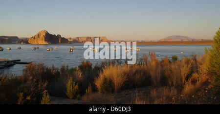 Blauer Himmel Abend Sonnenlicht sehen braun Sträucher Küstenlinie, Wasser, Boote, Castle Rock und Navajo Mountain, Lake Powell, Arizona Stockfoto