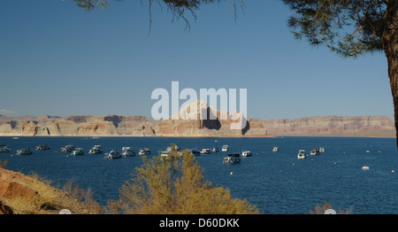 Blauer Himmel Blick Boote vertäut Blauwasser Wahweap Bay in Richtung Castle Rock Ufer von Lake Powell Resort, Arizona, USA Stockfoto