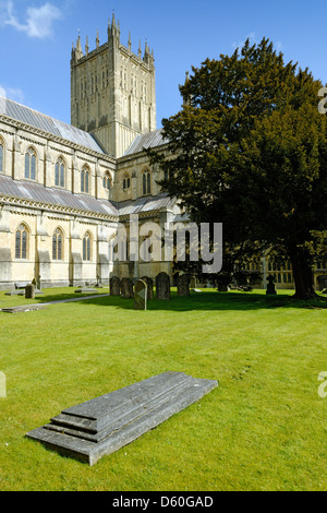 Mittelturm und Südseite der Kathedrale von Wells, Somerset, England Stockfoto