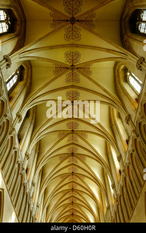 Das Kirchenschiff Decke, Kathedrale von Wells, Somerset, England Stockfoto