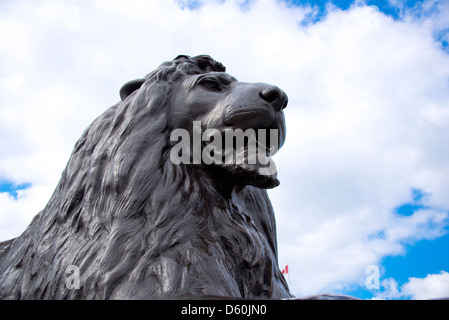 Der britische Löwe auf Nelsons Denkmal Trafalgar Square in London Stockfoto