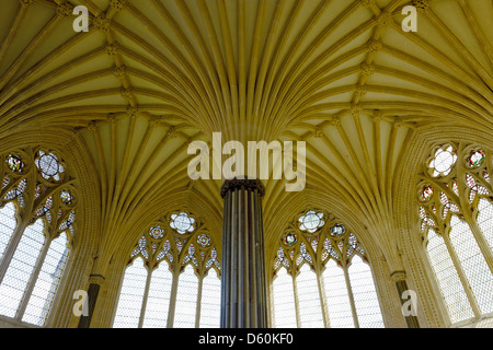 Gewölbte Decke im Kapitelsaal, Kathedrale von Wells, Somerset, England Stockfoto