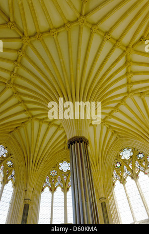 Gewölbte Decke im Kapitelsaal, Kathedrale von Wells, Somerset, England Stockfoto