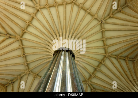 Gewölbte Decke im Kapitelsaal, Kathedrale von Wells, Somerset, England Stockfoto