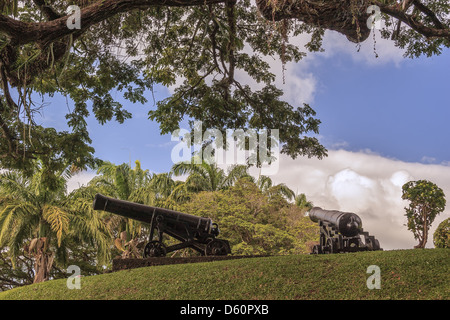 Canon Fort King George Tobago West Indies Stockfoto