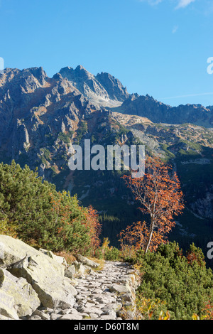 Pfad in der Tatra-Nationalpark, Slowakei. Über Mengusovska Dolina, in der Nähe von Strbske Pleso Stockfoto