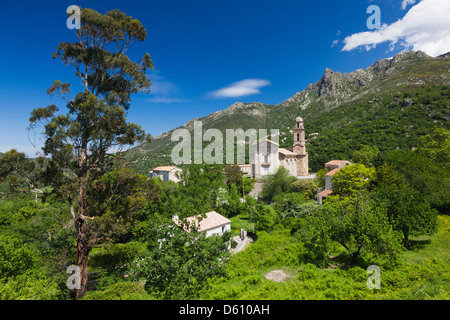 Frankreich, Korsika, La Balagne, Feliceto, barocken Stadtkirche Stockfoto