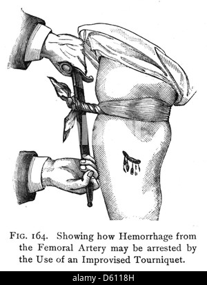 Leben und Gesundheit; ein Lehrbuch zur Physiologie für Schulen, Akademien und normalen Schulen (c1910) Stockfoto