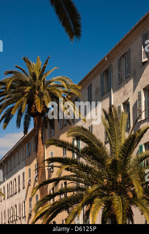 Frankreich, Korsika, Ajaccio, Gebäude detail Stockfoto