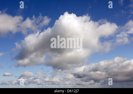 Flauschige weiße Wolken in einem tiefblauen Himmel. Stockfoto