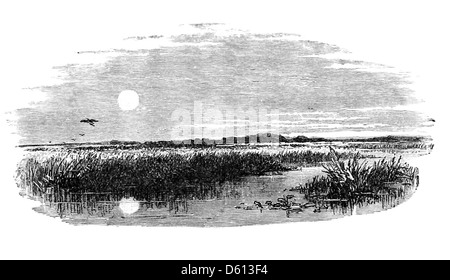 Eine Illustration aus „A Festival of Song“ (1876) mit einer ruhigen Mondszene mit einem Teich, der das Mondlicht reflektiert. Das Bild erinnert an die poetische Atmosphäre der Abende, die in dem Buch beschrieben werden und den größten englischen Dichtern gewidmet sind. Stockfoto