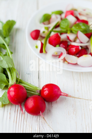 jede Menge frische Radieschen und Salat auf einem Teller, Nahaufnahme Stockfoto