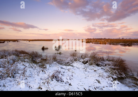 Sonnenaufgang über dem gefrorenen See Stockfoto