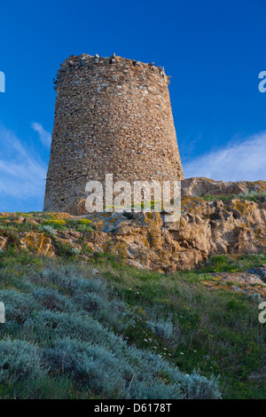 Frankreich, Korsika, La Balagne, Ile Rousse, Ile De La Pietra, Genueser Turm, Dämmerung Stockfoto