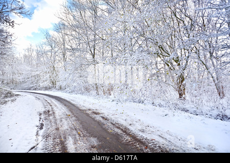 Straße im verschneiten winter Stockfoto