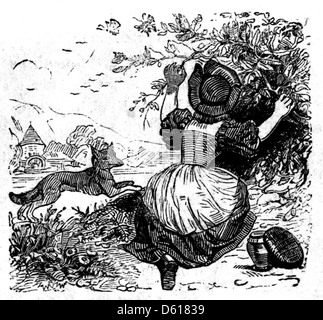 Dieses Bild stammt aus der Kinderfee-Bibliothek (1837-38) und zeigt eine Illustration von Rotkäppchen. Die Geschichte, eines der klassischen Märchen, wird mit lebendigen Bildern für junge Leser dargestellt. Stockfoto