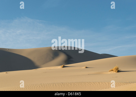 Eureka Sanddünen im Death Valley National Park. Stockfoto