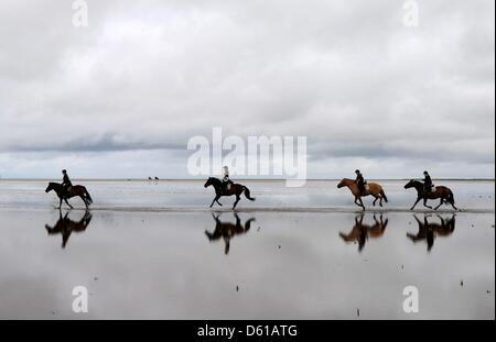 Datei - ein Archiv-Bild vom 13. August 2011 eine Gruppe von Fahrern im Galopp entlang dem Strand zeigt von Sankt Peter-Ording, Deutschland. Schleswig-Holstein arbeitet intensiv an Stärkung sein Image als ideales Ziel für Reiter. Foto: Carsten Rehder Stockfoto