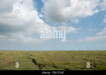 Salz, Sümpfe, Bradwell am Meer, Essex, England, Großbritannien, UK, Stockfoto