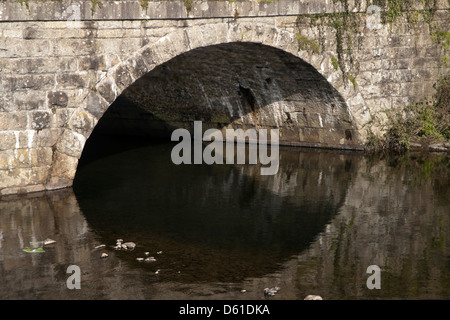 Brücke über den Fluß Tavy in Tavistock, Dartmoor, Devon, Südwestengland, UK Stockfoto