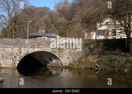 Brücke über den Fluß Tavy in Tavistock, Dartmoor, Devon, Südwestengland, UK Stockfoto