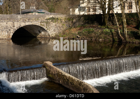 Brücke über den Fluß Tavy in Tavistock, Dartmoor, Devon, Südwestengland, UK Stockfoto