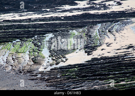 Strand; In der Nähe von Flexbury; Bude; Cornwall; UK Stockfoto