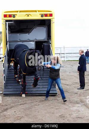 Dressurpferd Totilas aus seinem Pferdeanhänger in Hagen bin Teutoburger Wald, Deutschland, 25. April 2012 geführt. Seinem Reiter Matthias Rath (R) ist das Comeback des zuvor verletzten Pferd für einen Tag verschoben. Die beiden treten nicht bei der Horse Show in Hagen am 27. April 2012 wie angekündigt, aber am 28. April 2012. Foto: Thomas Hellmann Stockfoto