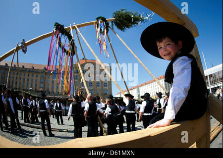 Junge "Zimmermann" Richard befasst sich mit seinem Vater während der traditionellen Errichtung der Maibaum auf dem Frühlingsmarkt (Altmarkt) in Dresden, Deutschland, 27. April 2012. Der Maibaum ist etwa 20 Meter hoch und stammt aus Langebrueck Dresdner Heide. Foto: Arno Burgi Stockfoto