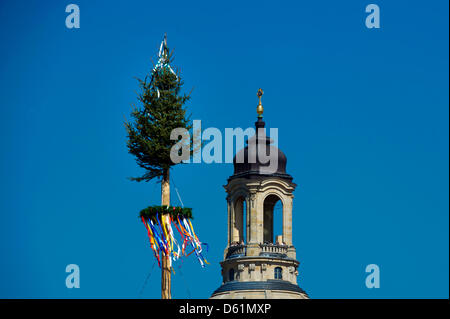 Tischler haben ein Maibaum auf dem Frühlingsmarkt (Altmarkt) in Dresden, Deutschland, 27. April 2012 errichtet. Der Maibaum ist etwa 20 Meter hoch und stammt aus Langebrueck Dresdner Heide. Foto: Arno Burgi Stockfoto