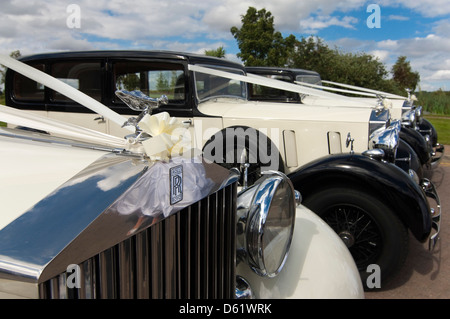 Horizontale Nahaufnahme der gestaltete Motorhauben aus einer Reihe von Oldtimer Rolls Royce Oldtimer bei einer Hochzeit. Stockfoto