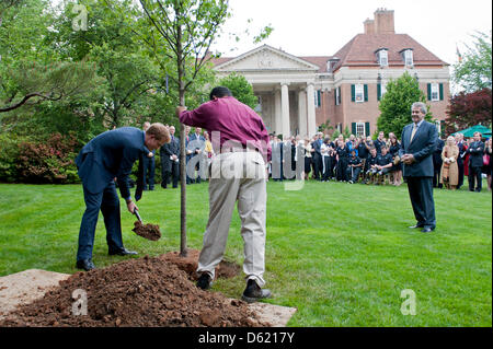 Großbritanniens Prinz Harry (L) hilft, um einen Baum zu Pflanzen, in den britischen Botschafter Residenz Garten in Anerkennung U.S. und britische verwundete Krieger in Washington, D.C., USA, 7. Mai 2012. Die verwundeten Soldaten nahmen an die Krieger Spiele, die einer Veranstaltung jedes Jahr durch das Olympische Komitee ist. Foto: KEVIN DIETSCH/POOL Stockfoto