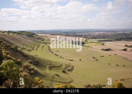 Ansicht von Terracetten aus Westbury White Horse, Wiltshire, England, Großbritannien Stockfoto