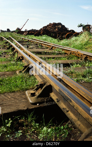 Woodhams von Barry Island trainieren Schrottplatz in Wales im Jahr 1980 mit verwilderten Linie und Schrott Eisenbahnräder im Hintergrund Stockfoto