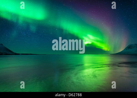 Aurora Borealis oder das Nordlicht, Kolgrafarfjordur, Snaefellsnes Halbinsel, Island Stockfoto