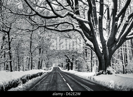 Eine Straße in Schnee bedeckt, Winter in Nottinghamshire, England UK Stockfoto