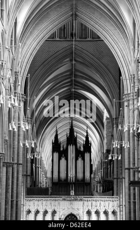 Kathedrale von innen Lincoln, Lincoln City England UK Stockfoto