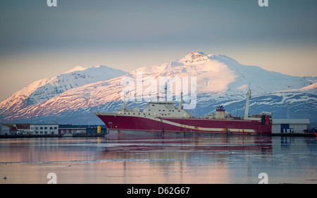 Fischtrawler angedockt am Hafen von Akureyri, Mt Kaldbakur im Hintergrund, Island Stockfoto