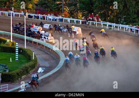 Chuckwagon Pferderennen in der Calgary Stampede in Calgary; Alberta; Kanada; Westkanada; Chuck Wagon Stockfoto