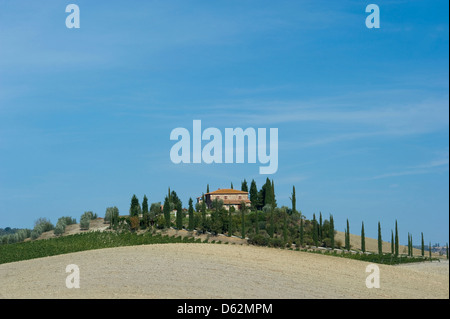 Ein Bauernhaus, umgeben von Zypressen. Toskana, Italien Stockfoto