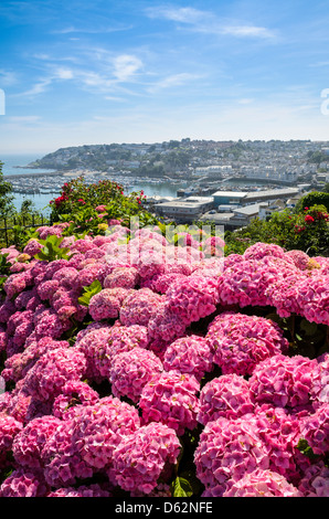 Blick über die Fischerei-Stadt Brixham, Devon, England. Stockfoto